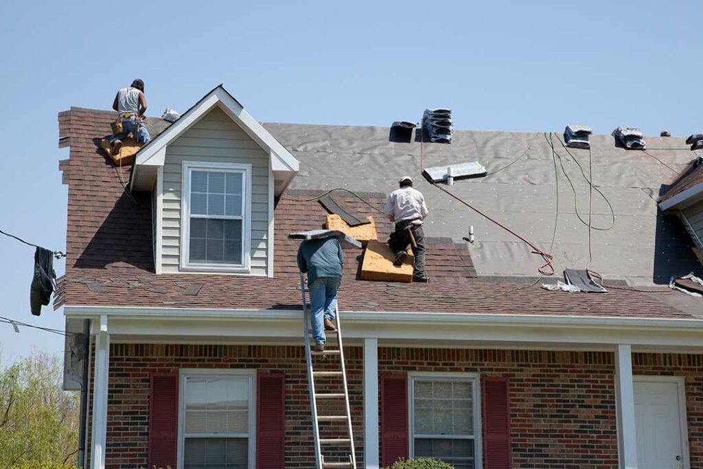Person using a long-handled roof rake to clear leaves from a low residential roof.